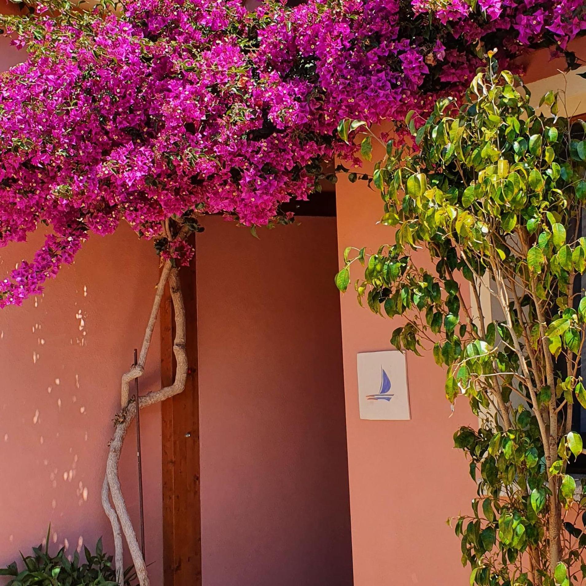 B&B La Vela Chia Exterior foto